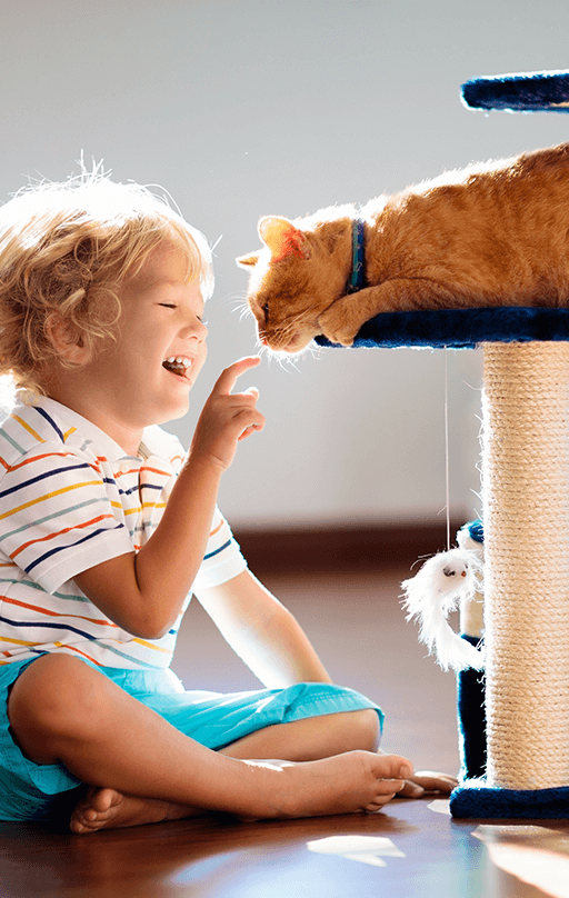 Little boy playing with cat